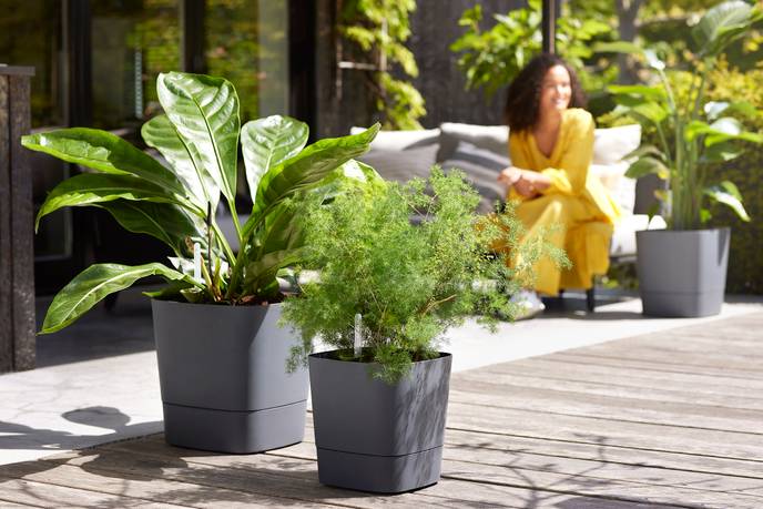 greensense aqua care quadrat 38cm holzkohlengrau